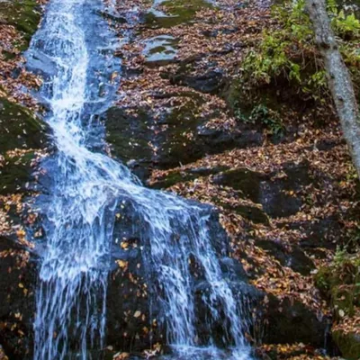 Crabtree Falls