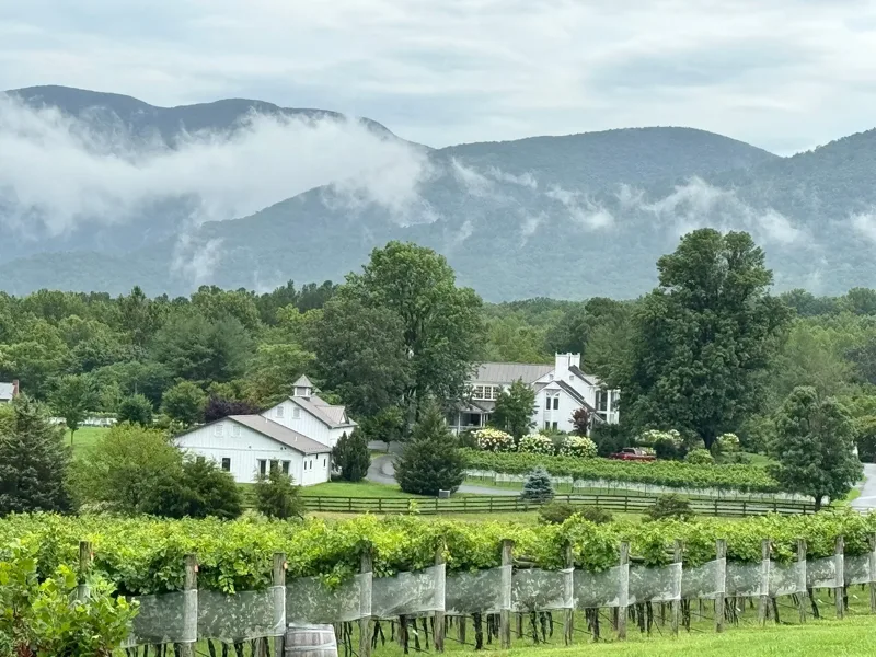 Farmhouse at Veritas